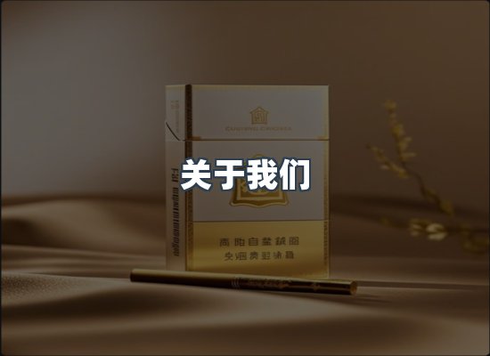 专业团队